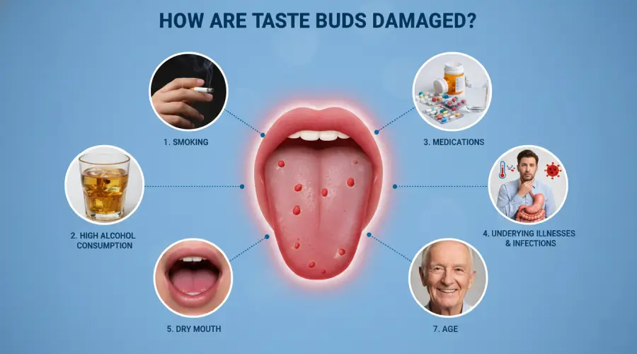 How are taste buds damaged